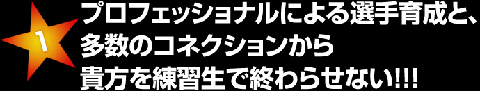 サッカーの本場ドイツでの留学専門。ドイツは親日国なので安心です！