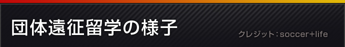 団体遠征留学の様子