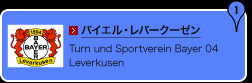 バイエル・レバークーゼン